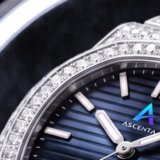Macro of the snow-set bezel