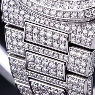 Macro of the integrated bracelet leaving the case